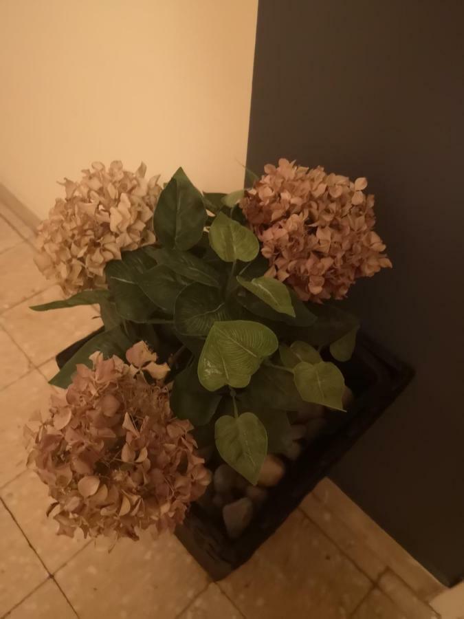 شقة Apartman Mera زادار المظهر الخارجي الصورة